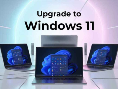 Several laptops displaying the Windows 11 operating system interface.